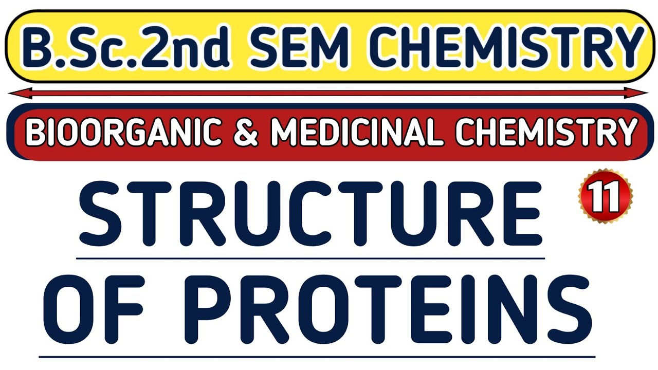 | L-11| Structure of proteins | B.Sc. 2nd sem chemistry | Aarti mam chemistry | Physics guru