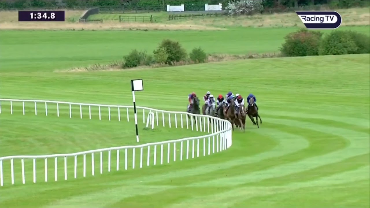 2019 - Irish Saint-Leger - SEARCH FOR A SONG