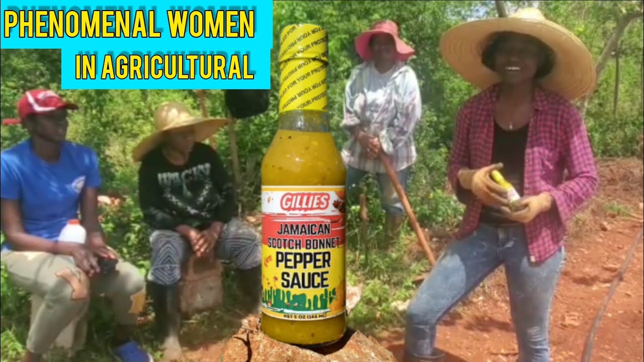PHENOMENAL WOMEN IN AGRICULTURAL IN JAMAICA// INSPIRATIONAL LEADERSHIP IN FARMING & AGRO PROCESSING