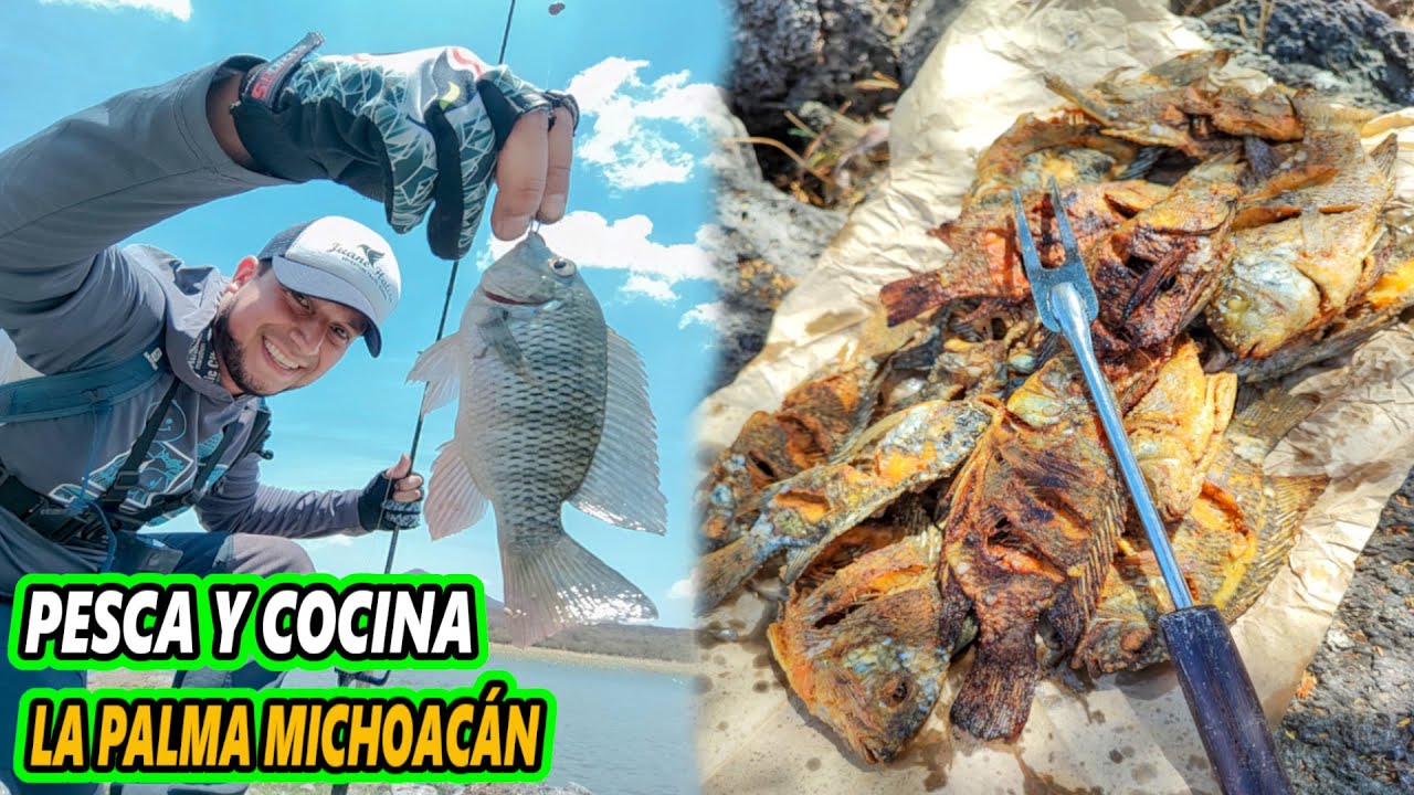 PESCA Y COCINA DE MOJARRAS en Presa de MICHOACÁN La Palma Angamacutiro SE ARMÓ EL DORE/ JUANE HALCÓN