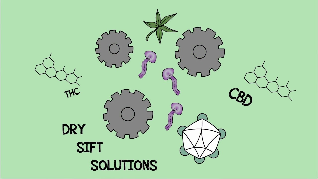 Trichome Extraction by DrySiftSolutions