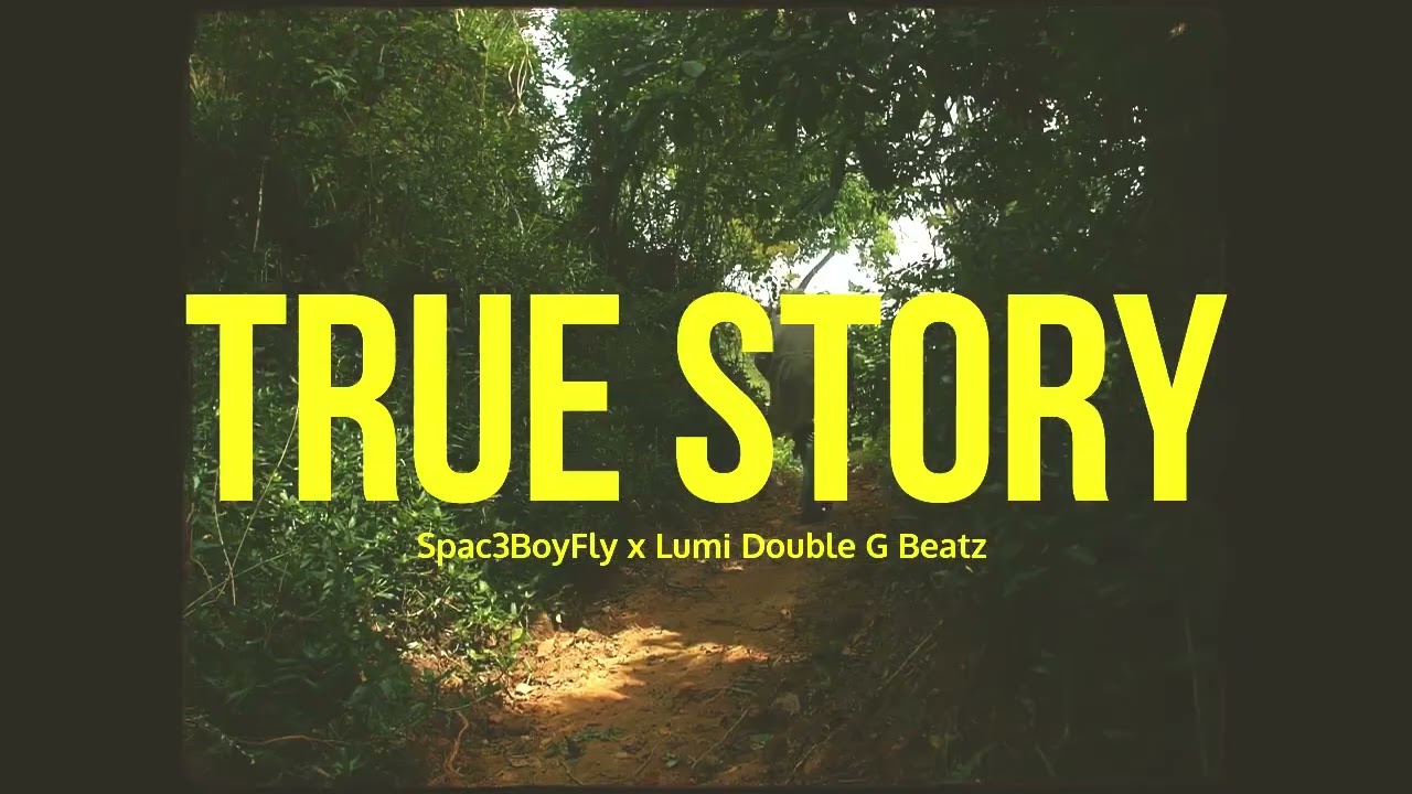 Chronic Law x Squash x Jahmiel type Dancehall Instrumental True Story