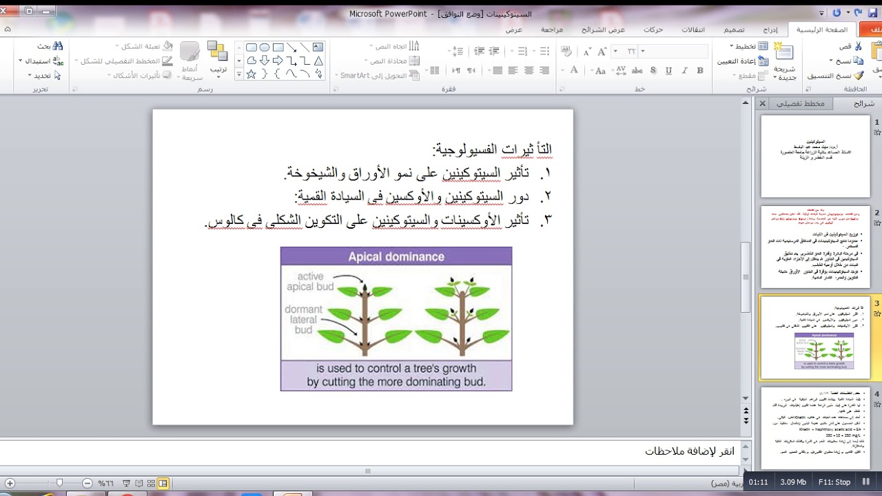 السيتوكينين