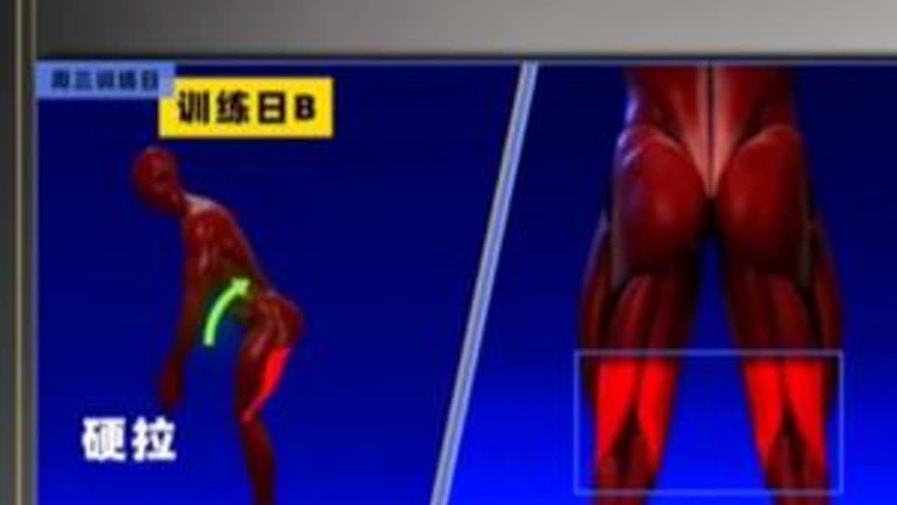 健身计划（三天版）用3天的时间长6天的肌肉#健身 #增肌 #健身干货 #健身教学 #健身计划