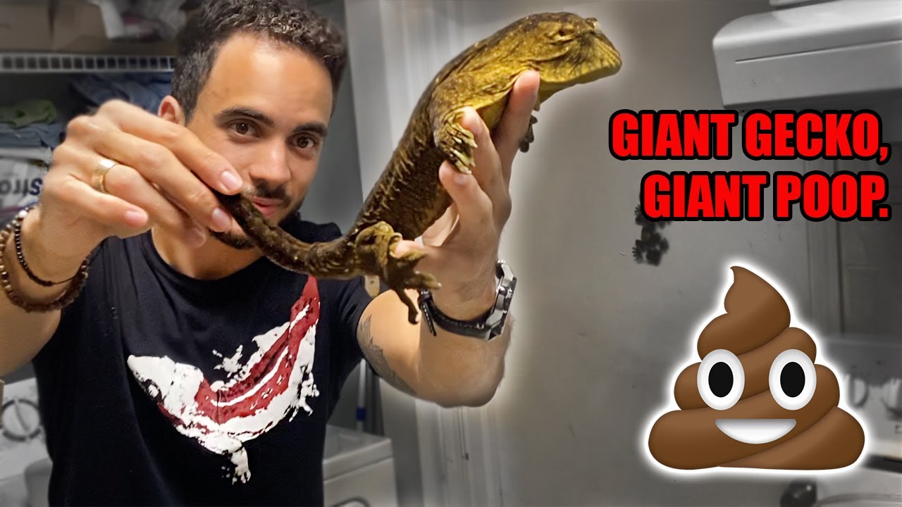 Massive Leachie takes a DUMP on me! Plus, update of our animals!