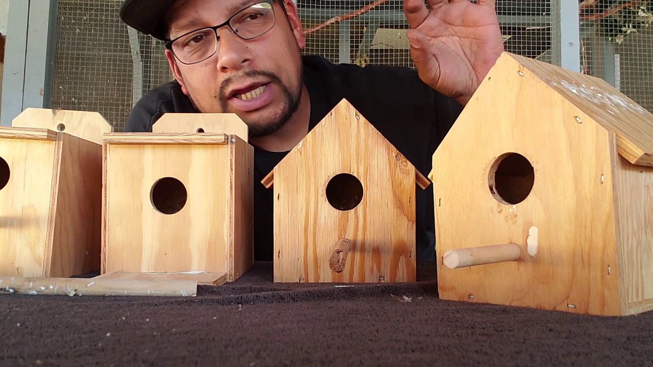 Nest Boxes For Gouldian Finches