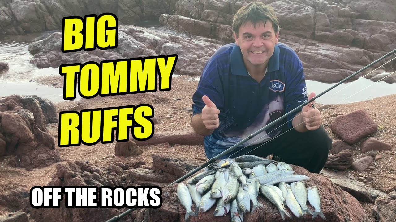 34 Tommy Ruffs Caught Off The Rocks! Insane Sunset Fishing + Cook-Up | South Australia Rock Fishing