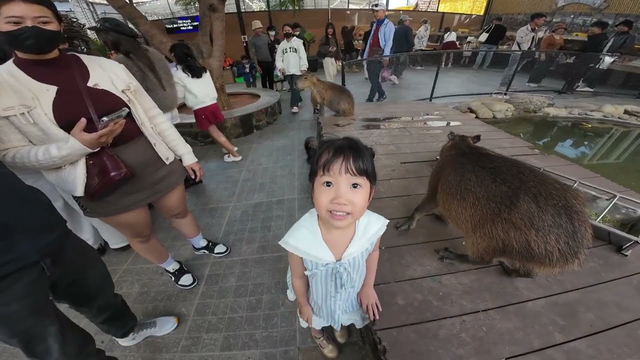 miu vlog