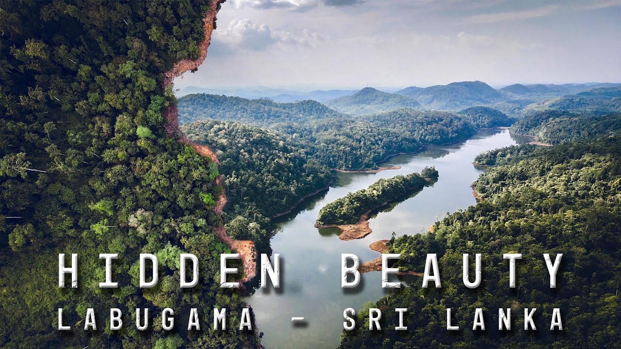 Relaxing cinematic video - Labugama kalatuwawa forest reserve - Sri Lanka | Travel | DJI Mavic Air 2