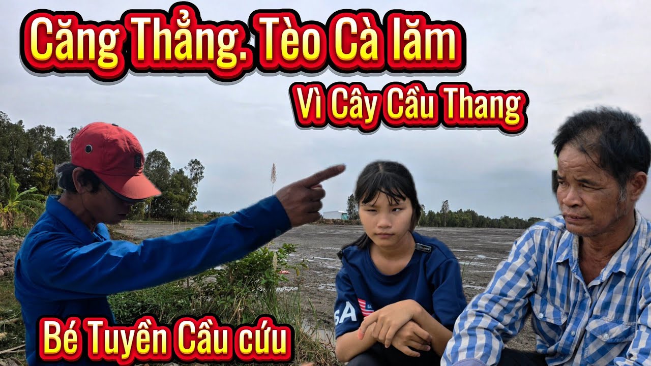 Căng thẳng. Tèo Cà lăm Cải Dữ Dội Với Người Hàng Xóm Về Cầu Thang bé tuyền 
