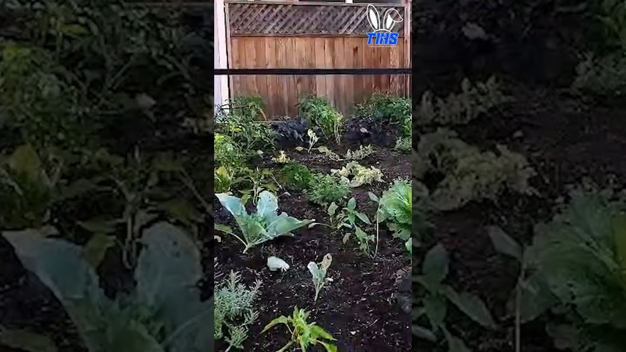 Farmbot Genesis 