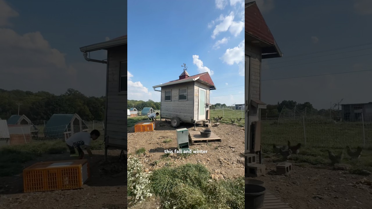 Как мы передвигаем наш курятник (на колесах)