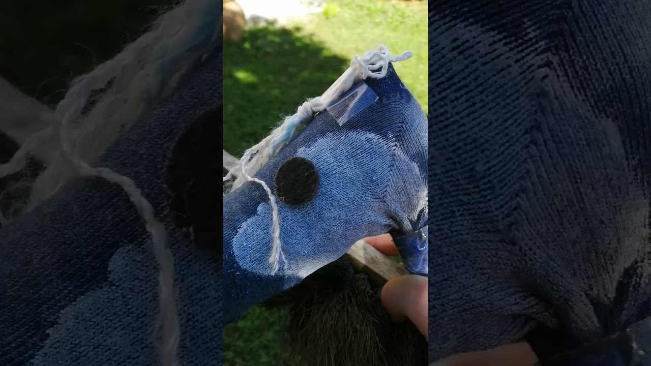 morning routine avec mes hobby-horse