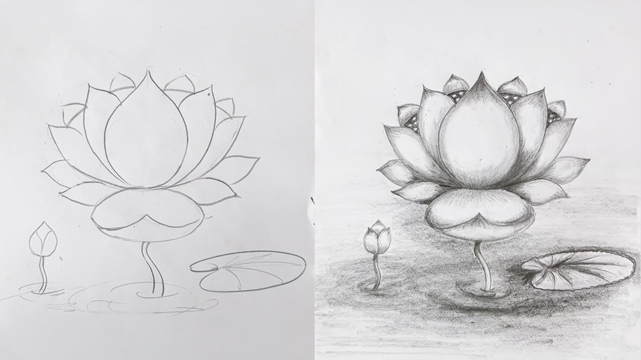 How to Draw a Lotus Flower | Easy Pencil Sketch #drawing #creativeart #art #artist #artwork