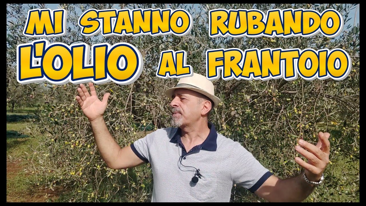 Resa dell'olio, perchè scende invece di salire? ecco spiegato il perchè