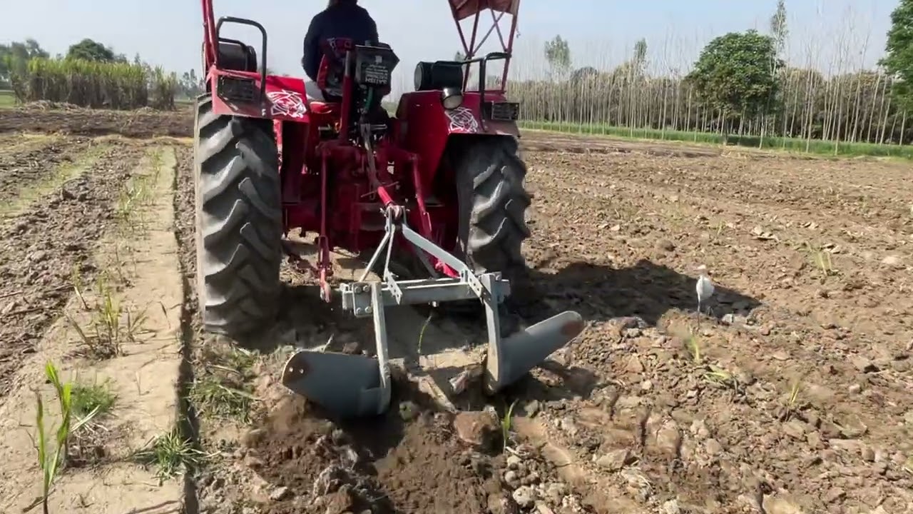 ट्रेंच गन्ने से मिट्टी हटाई #topfarming #tractorvideo #farming