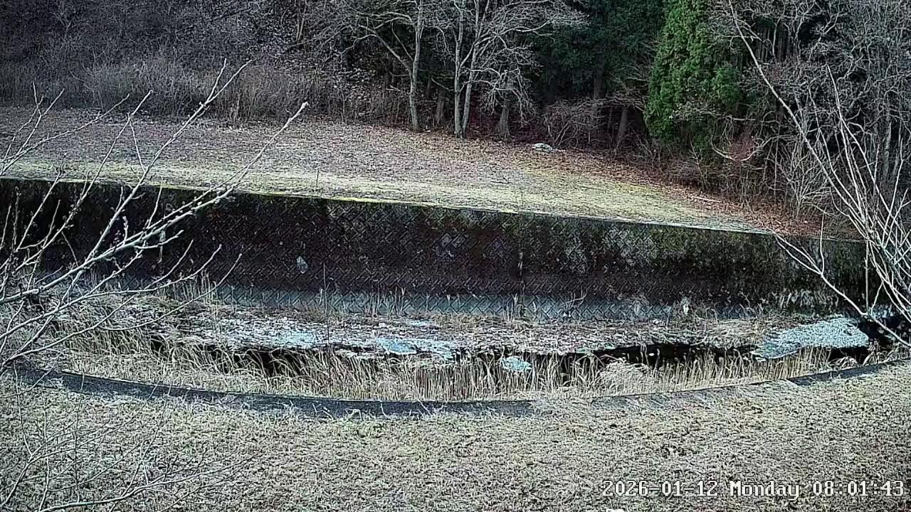 岩手県下閉伊郡岩泉町小本字小成ライブカメラ Iwate Shimoheigun Iwaizumicho Live Camera.world.cam