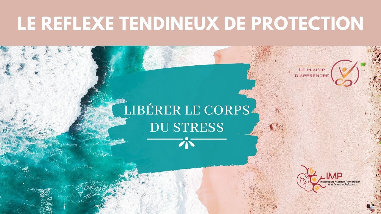 Le réflexe de protection - Intégration Motrice Primordiale (IMP)