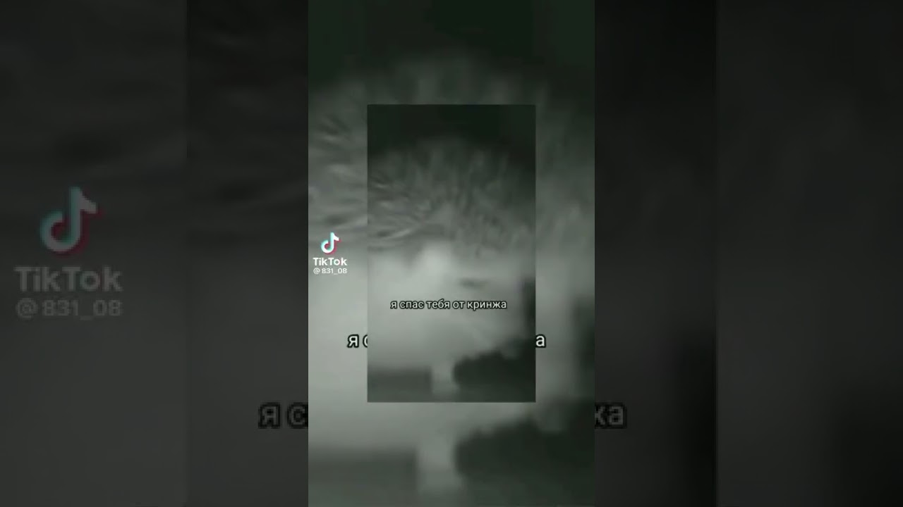 я тебя спас от кринжа #memories #shorts #мем #рофл #юмор2022 #1000subscriber #1000subs