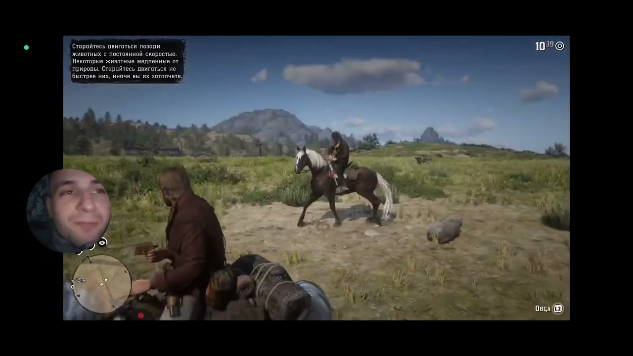 СКОТОВОД|Red Dead Redemption 2.