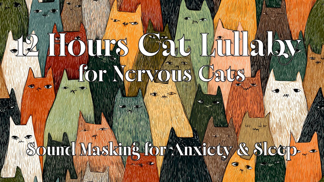 Calming Music for Nervous Cats | Sound Masking for Anxiety & Noise Sensitivity | Stress Relief BGM