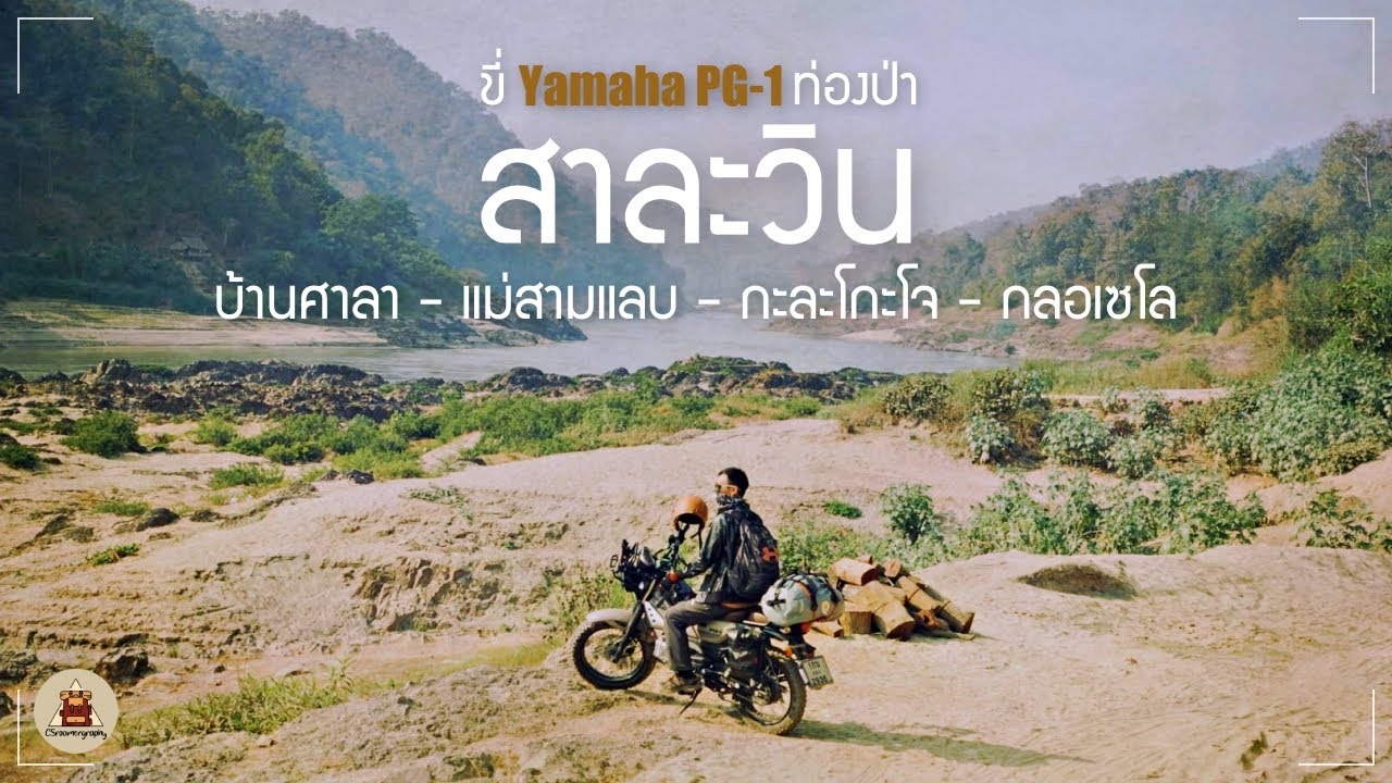 ลุยป่า 