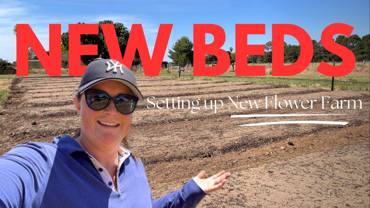 Creating Cut Flower Beds On The New Farm