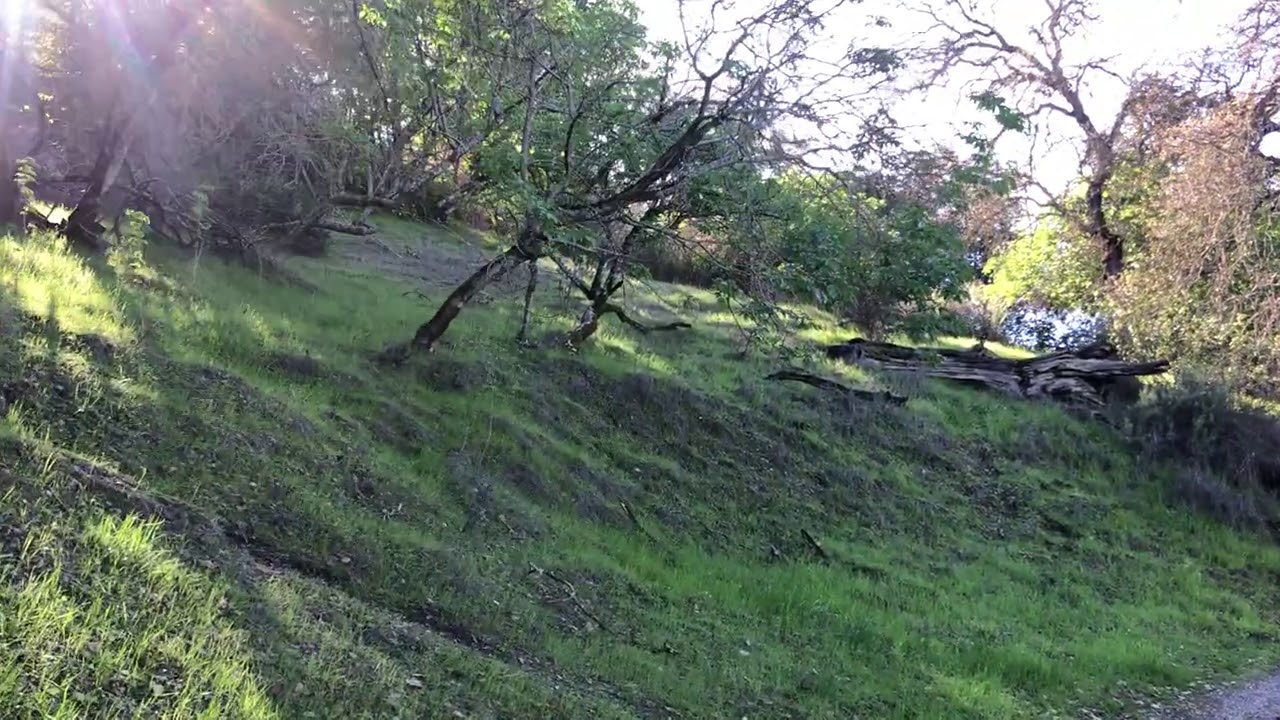 Guided meditation - open