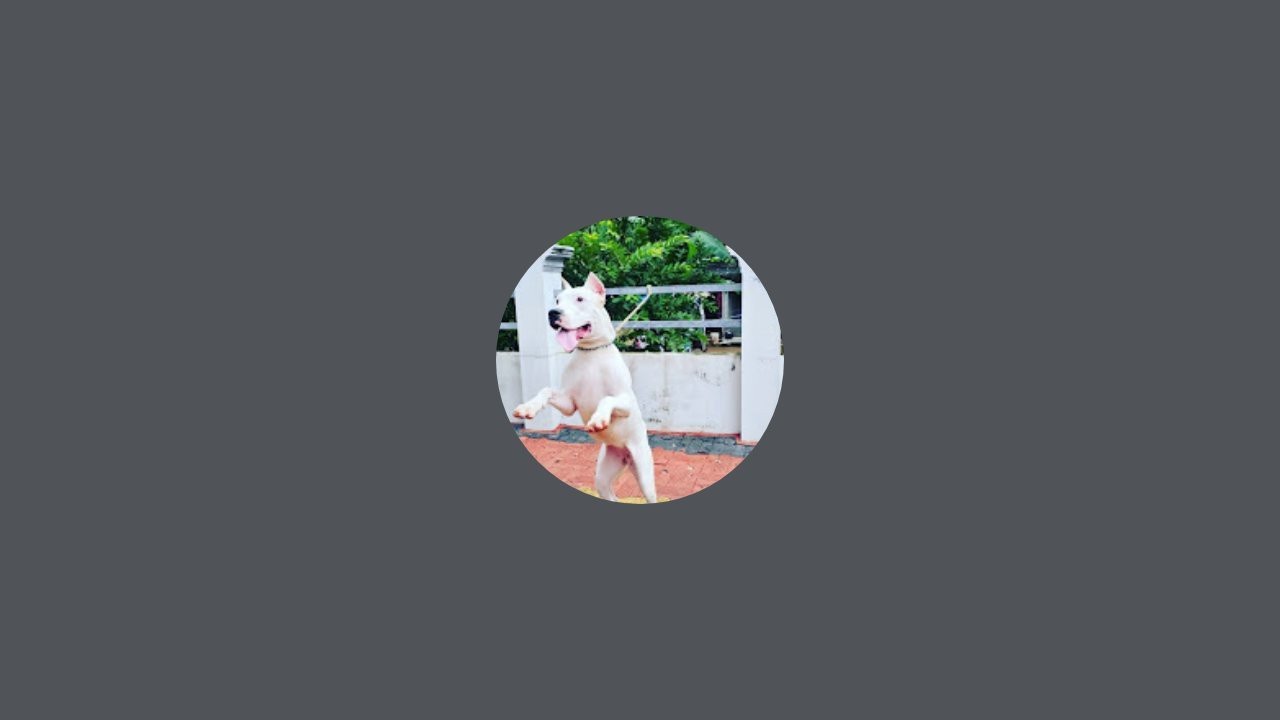 Akkuse 369 is live