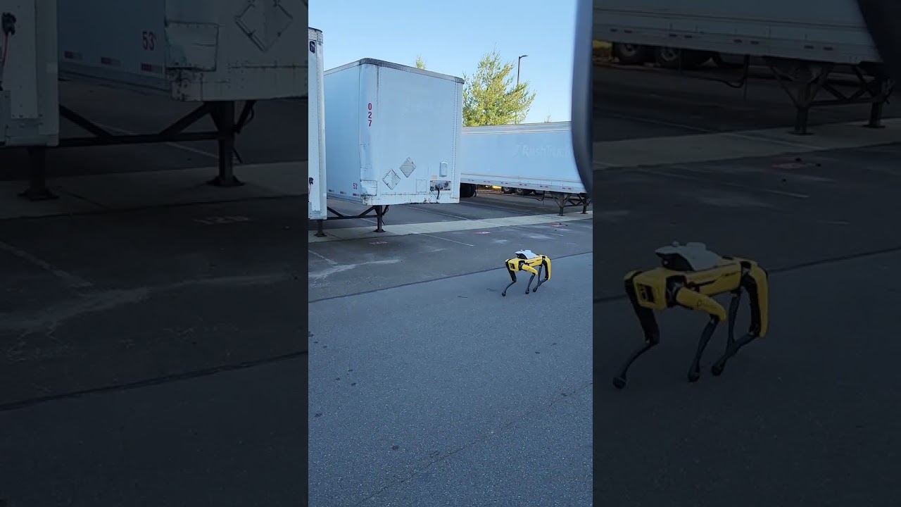 robot dog walking around warehouse