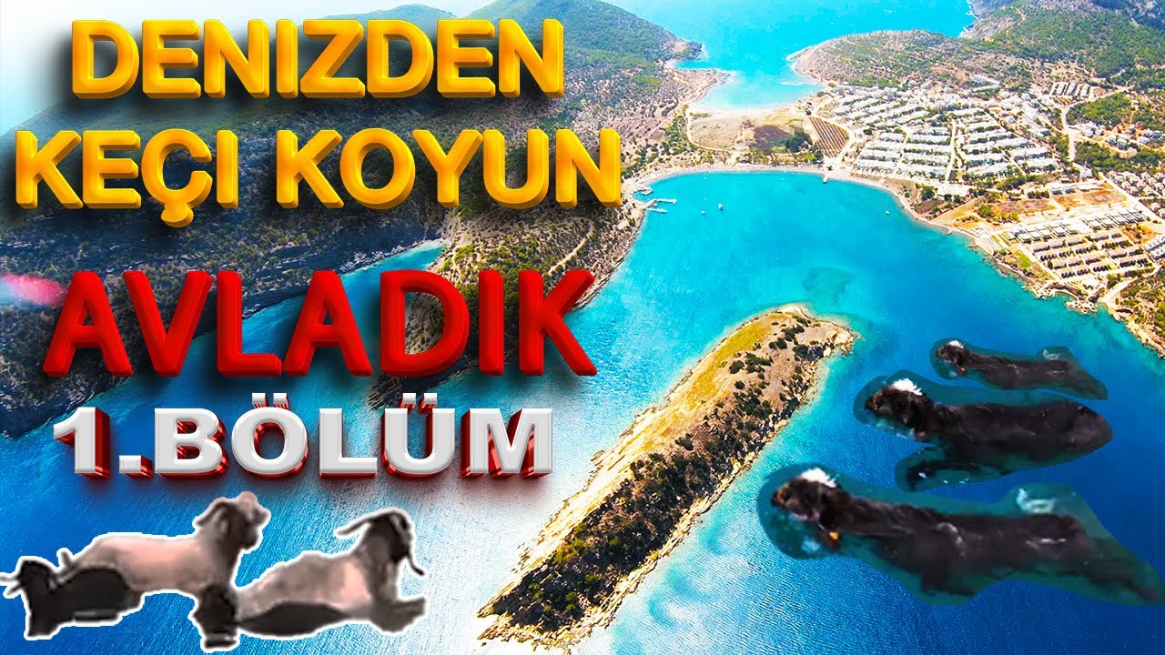 DENİZDEN KEÇİ KOYUN AVLADIK-1   ISSIZ ADADA KEÇİ YETİŞTİRİCİLİĞİ - MERSİN GEZİLECEK YERLER - TİSAN