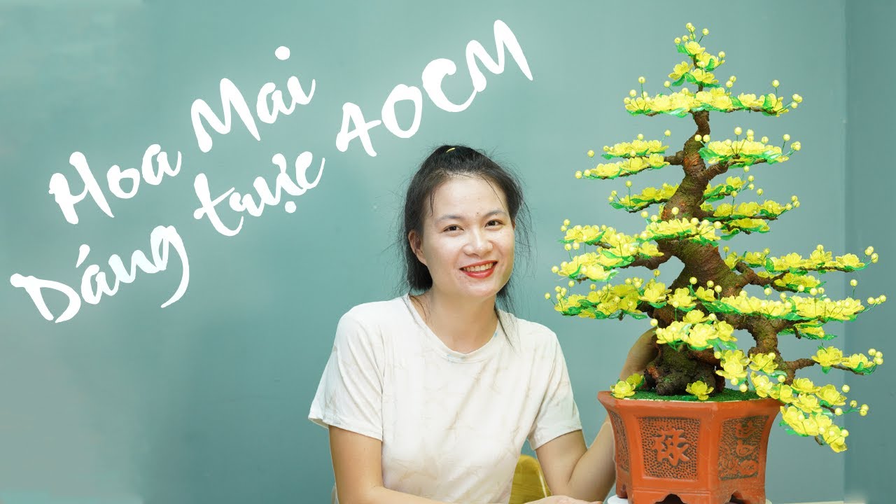 Cách Lên Cành Hoa Mai Dáng Trực Cao 40cm Mới Nhất Năm 2023