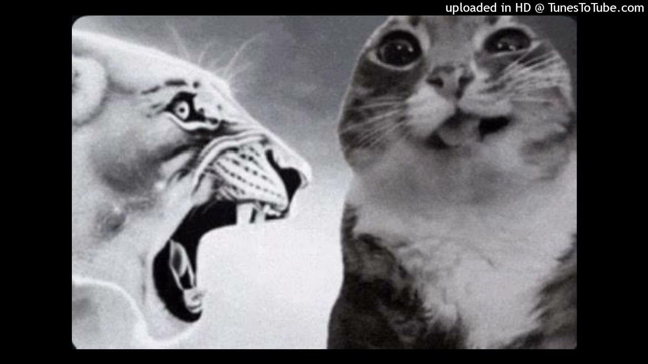 griselda westside gunn earl sweatshirt type beat