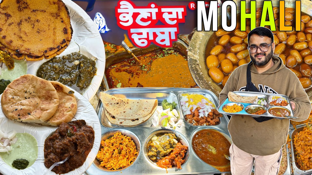 TOP Notch Street Food of Mohali | STREET Food Tour of Mohali | Punjab Food 