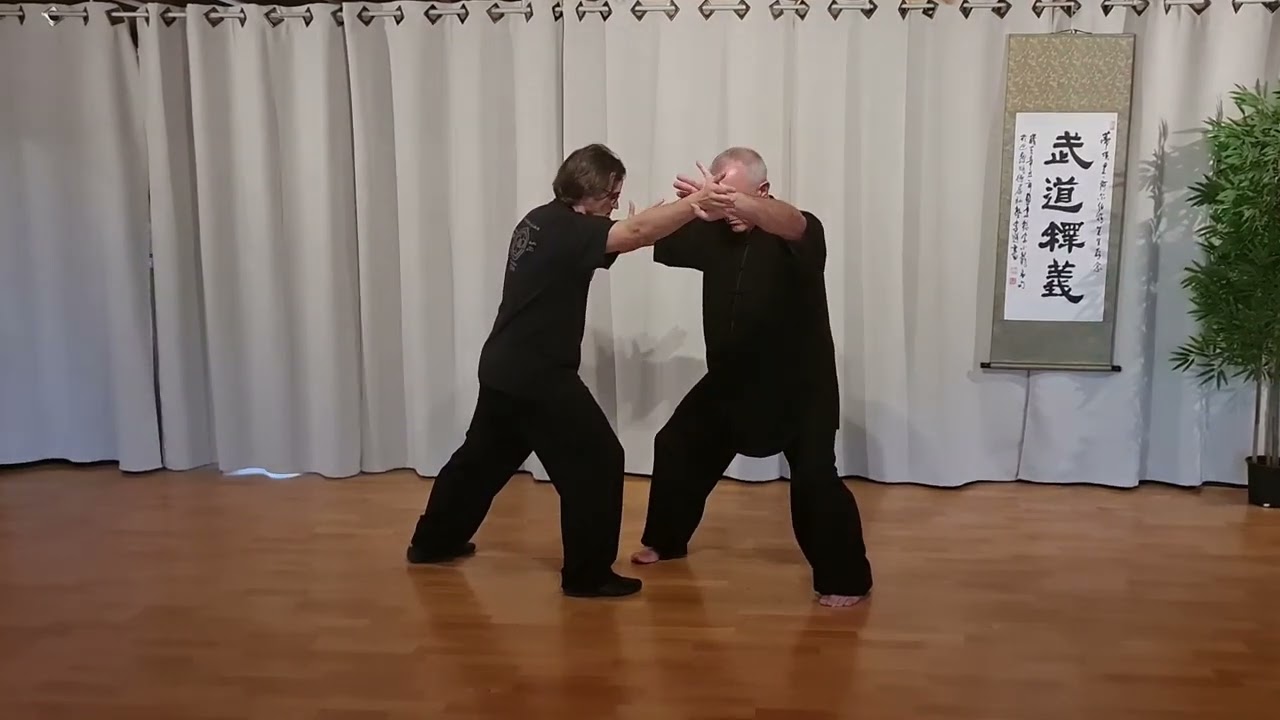 Tui Shou  