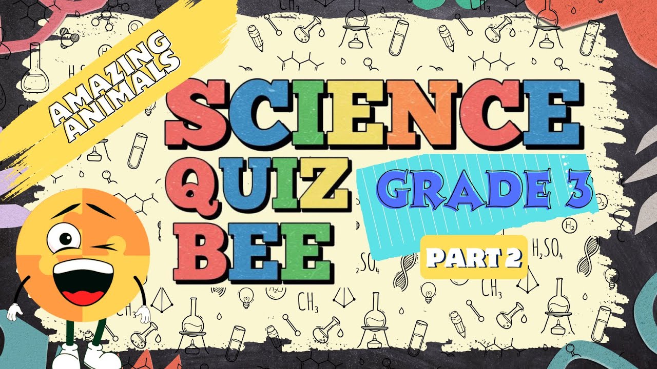Научная викторина для 3 класса | Викторина 2 | Удивительные животные | Викторина от brainYs