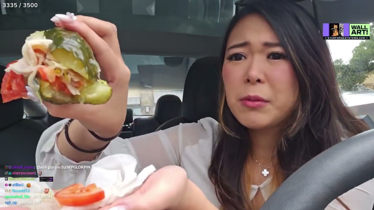 Emily Tries The Picklewich