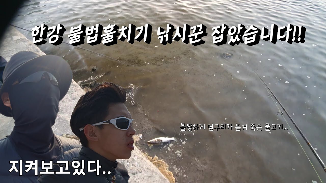 쓰니의 낚시일기 - 한강 불법 훌치기 낚시꾼을 잡았습니다.