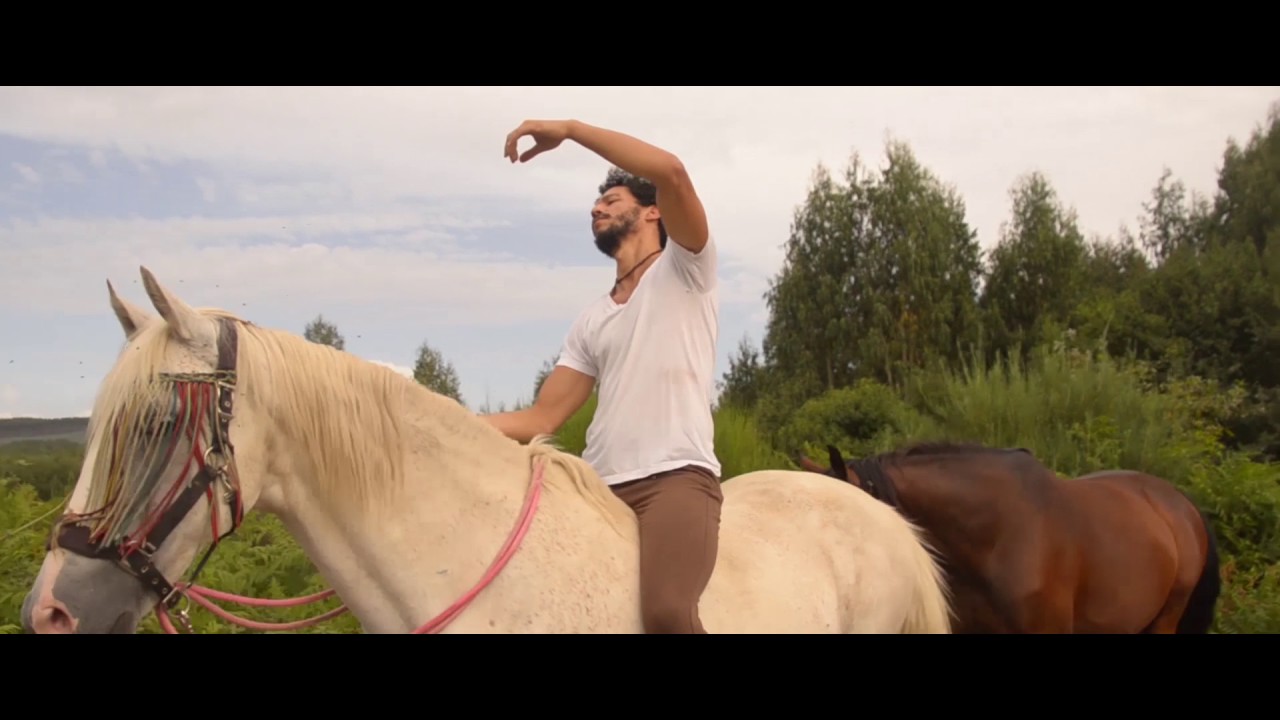 DAVIDE SALVADO - LOBOS