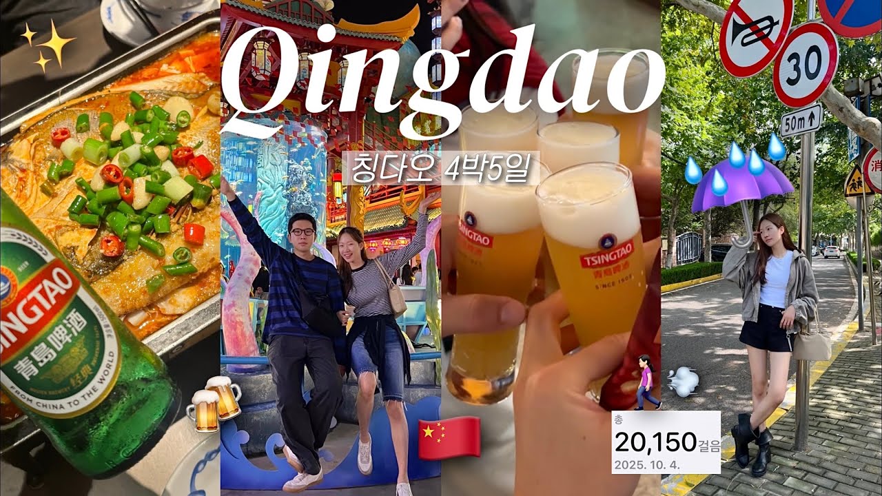 칭다오여행VLOGㅣ물 대신 맥주 마시는 여행_1편🇨🇳 (원장맥주ㅣ명월산해간불야성ㅣ루위 농어찜ㅣ칭따오맥주박물관ㅣ타이동야시장ㅣ꿔바로우ㅣ양꼬치)