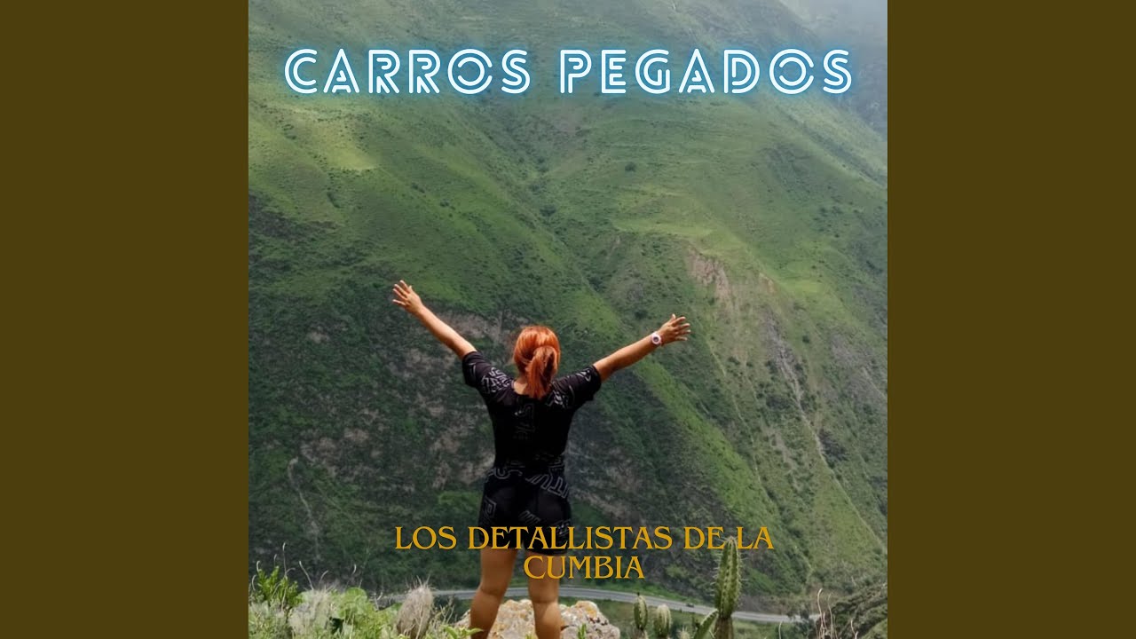 CARROS PEGADOS