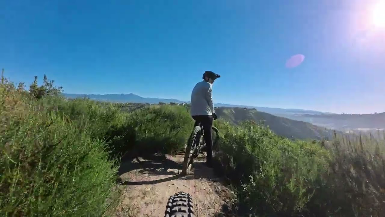Aliso