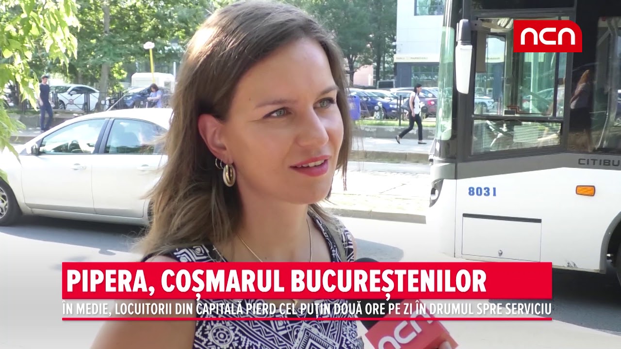PIPERA, COSMARUL BUCURESTENILOR