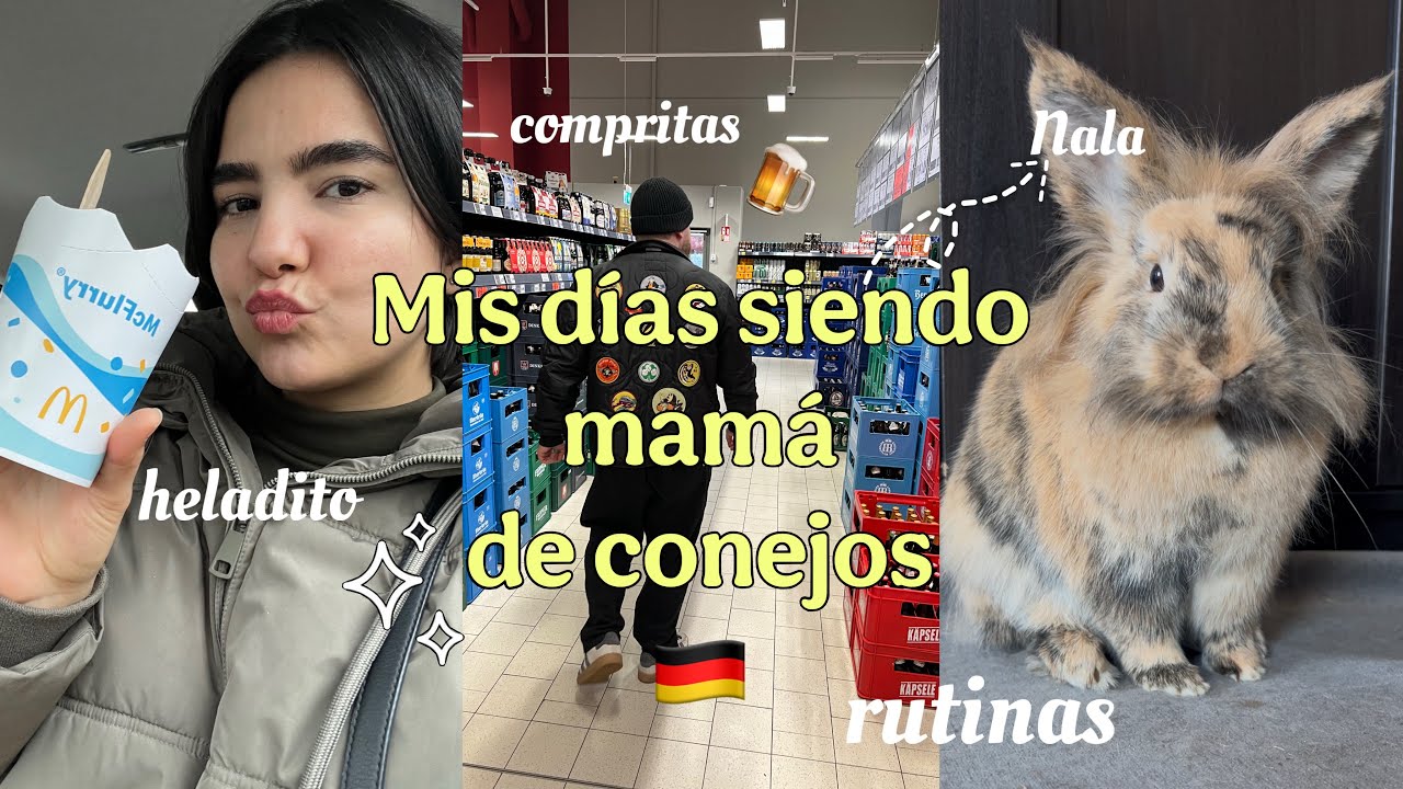 Mis días siendo mamá de conejos| estudiando aleman🇩🇪| compras 🛒🐰| antes de Navidad 🎄