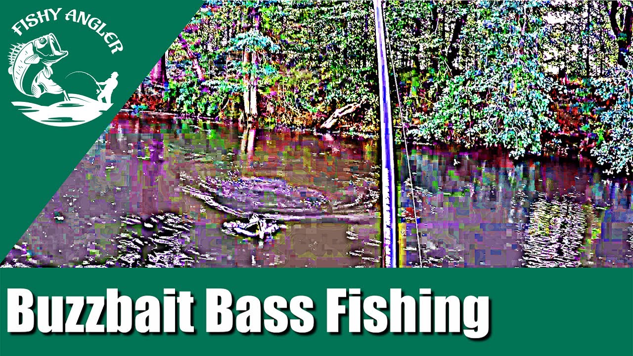 Buzzbait bass fishing at Bunker Hill Pond. Delaware fishing