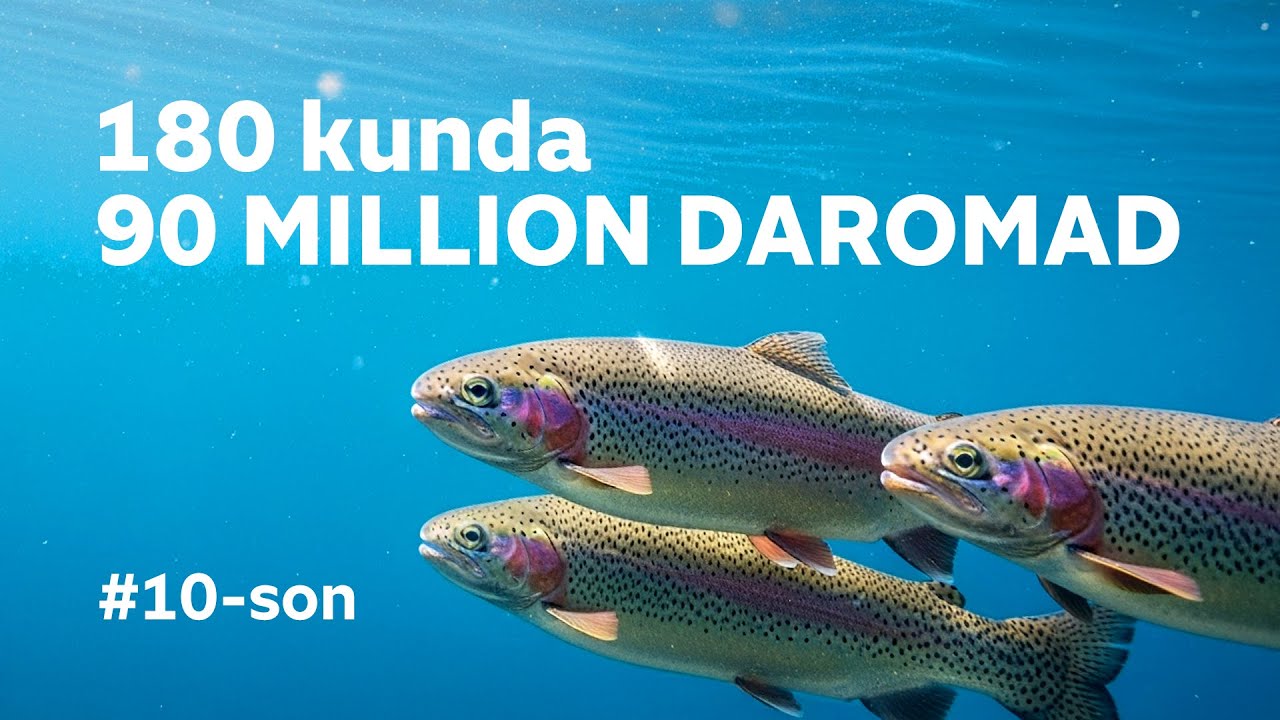 Forel baliqdan 6 OYDA 90 MILLION DAROMAD #10 Mening Tomorqam / NAMANGAN