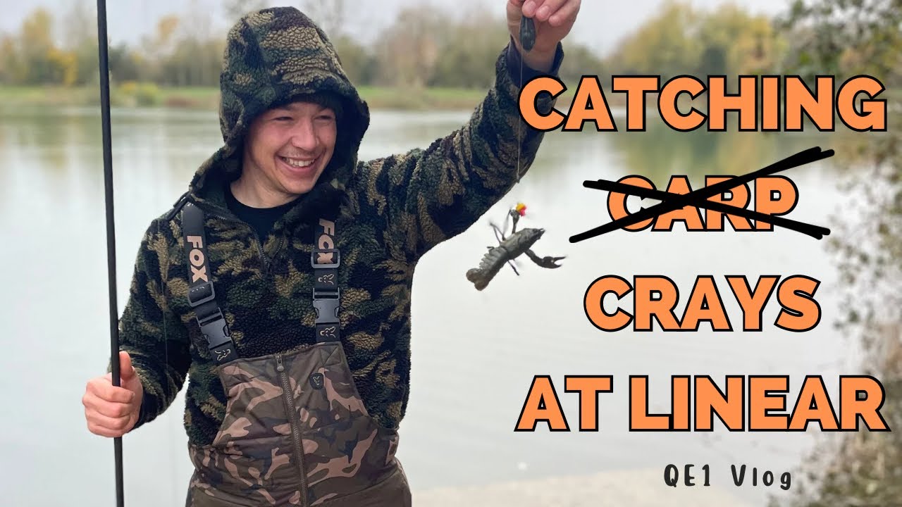 Brasnose 2 - Linear | QE1 | Carp Fishing 2023