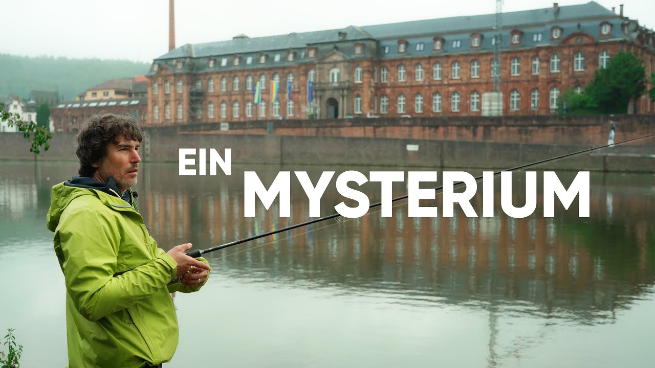 Flussangeln auf BARSCH, ZANDER und Co.!