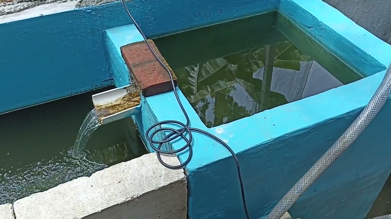 Kolam ikan air mengalir