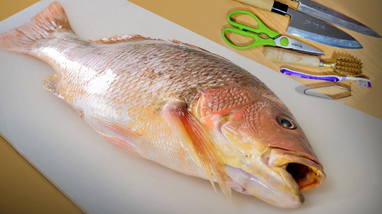 Beginner Guide On How To Gut & Clean A Whole Fish
